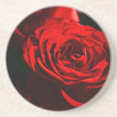 Red Rose Close Up Photo Zandsteen Onderzetter (Voorkant)