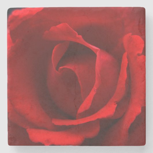 Red Rose coastercna Stenen Onderzetter (Voorkant)