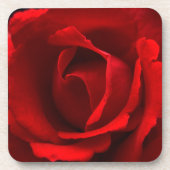 Red Rose coastercnm Bier Onderzetter (Voorkant)