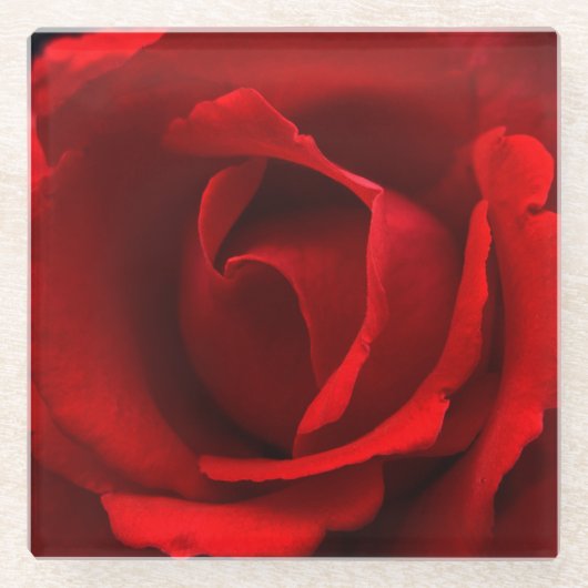 Red Rose coastercnm Glazen Onderzetter (Voorkant)