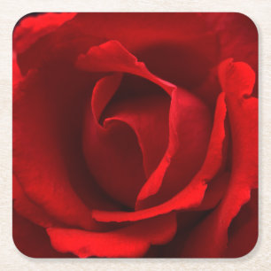 Red Rose coastercnm Kartonnen Onderzetters