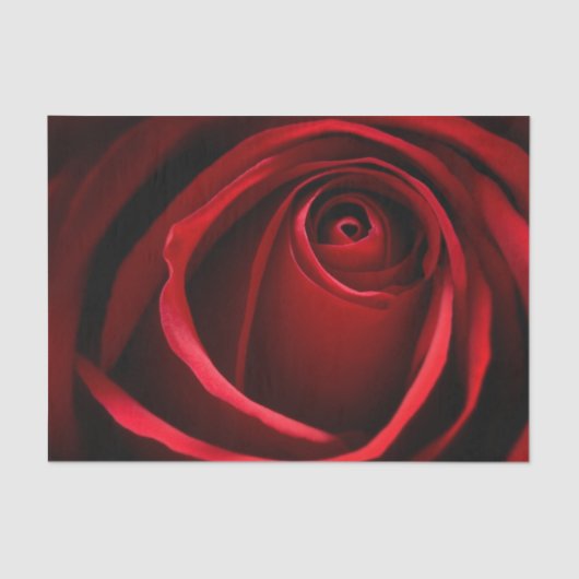 Red Rose Custom 10 lb-weefselpapier, wit Tissuepapier (Voorkant)