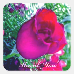 Red Rose - Dank je Sticker