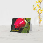 Red Rose - Denken aan jou - CA GardensCard Kaart (Gele Bloem)