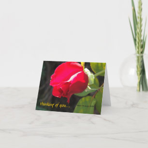 Red Rose - Denken aan jou - CA GardensCard Kaart