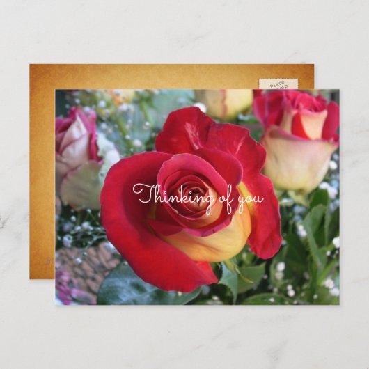 Red Rose denking of You Custom Message Briefkaart (Voorkant / Achterkant)
