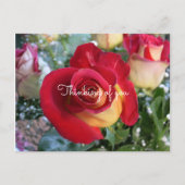 Red Rose denking of You Custom Message Briefkaart (Voorkant)