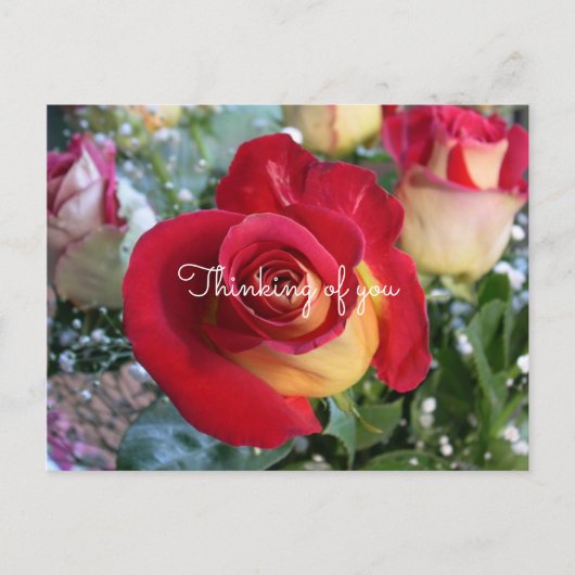 Red Rose denking of You Custom Message Briefkaart (Voorkant)