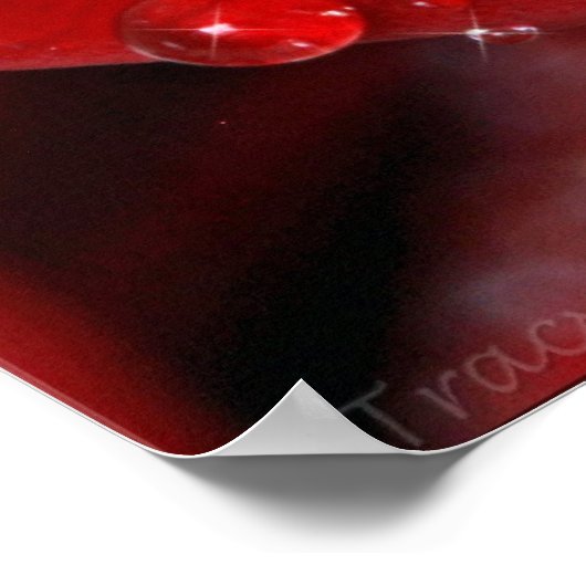 Red Rose Diamonds Poster (Hoek)