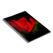 Red Rose - Donkere passie Notitieboek (Rechterzijde)