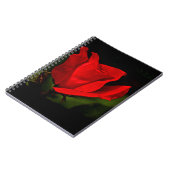Red Rose - Donkere passie Notitieboek (Linkerzijde)