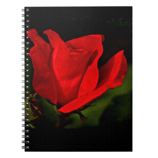 Red Rose - Donkere passie Notitieboek (Voorkant)