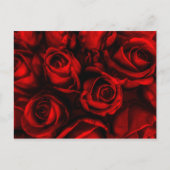 Red Rose Elegance Briefkaart (Voorkant)
