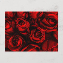 Red Rose Elegance Briefkaart