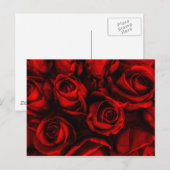 Red Rose Elegance Briefkaart (Voorkant / Achterkant)