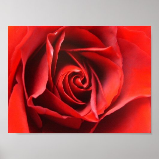 Red Rose Elegance Poster (Voorkant)