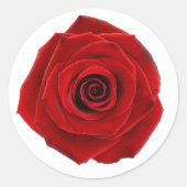 Red Rose Elegant Valentijn Liefde Ruitersport Ronde Sticker (Voorkant)