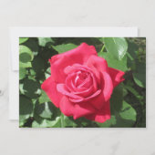 Red Rose Feestdagenkaart (Voorkant)