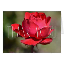 Red Rose Floral Bedankt