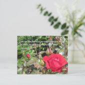 Red Rose Flower Briefkaart met dankbaarheid Quote (Staand voorkant)