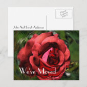 Red Rose Flower Design Nieuw adres Aankondigingskaart (Voorkant / Achterkant)