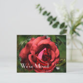 Red Rose Flower Design Nieuw adres Aankondigingskaart (Staand voorkant)