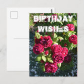Red Rose Flower Garden floral Happy Birthday Briefkaart (Voorkant / Achterkant)