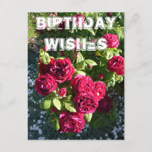 Red Rose Flower Garden floral Happy Birthday Briefkaart