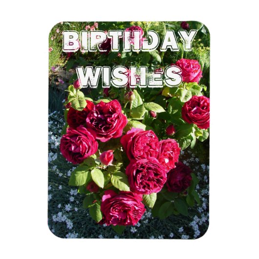 Red Rose Flower Garden floral Happy Birthday Magneet (Verticaal)