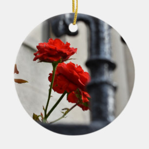 Red Rose Flower Garden Gate New York fotografie Keramisch Ornament