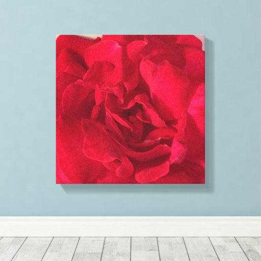 Red Rose Flower Photo Closeup Canvas Afdruk (Insitu (Houten vloer))