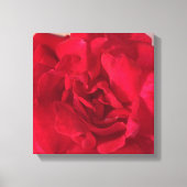 Red Rose Flower Photo Closeup Canvas Afdruk (Voorkant)