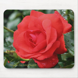 Red Rose Flower Photography Mousepad Muismat