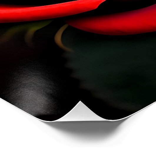 Red Rose Flowers Digitale Kunstwerk-58567 Perfect Poster (Hoek)