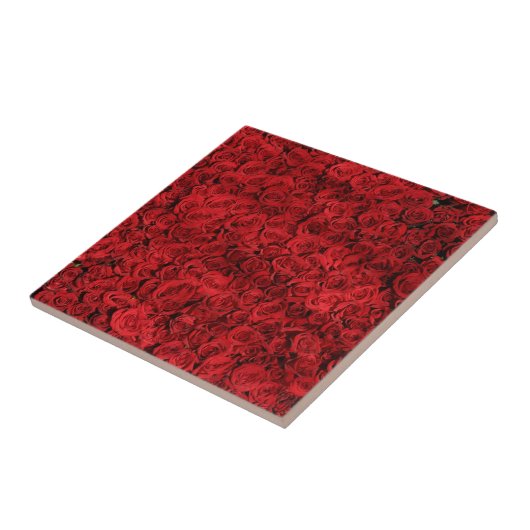 Red Rose Flowers Tegeltje (Zijkant)