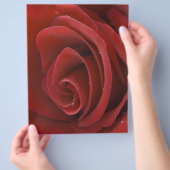 Red Rose Flyer (Hand)