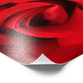 Red Rose Foto Afdruk (Hoek)