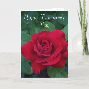 Red Rose Foto Feestdagen Kaart
