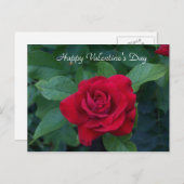 Red Rose Foto Feestdagenkaart (Voorkant / Achterkant)