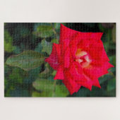 Red Rose Foto Jigzaag Puzzle Legpuzzel (Horizontaal)