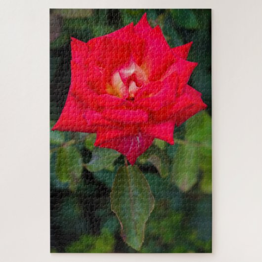 Red Rose Foto Jigzaag Puzzle Legpuzzel (Verticaal)