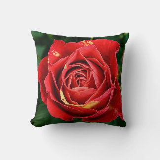 Red Rose Fotografie  Kussen