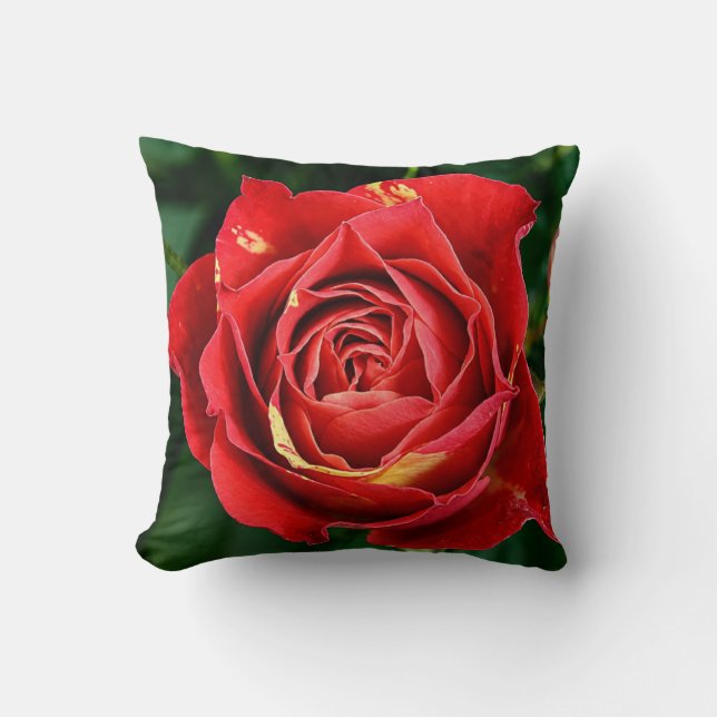 Red Rose Fotografie  Kussen (Voorkant)