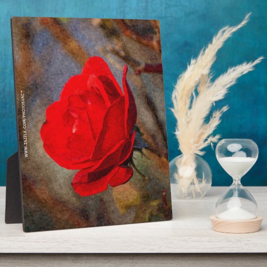 Red Rose Fotoplaat (Zijkant)