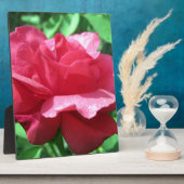 Red Rose Fotoplaat (Zijkant)