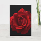 Red Rose gca Kaart (Voorkant)