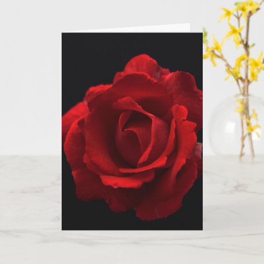 Red Rose gca Kaart (Gele Bloem)