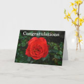 Red Rose Gefeliciteerd Kaart (Gele Bloem)