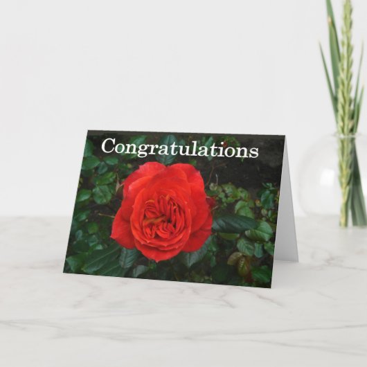 Red Rose Gefeliciteerd Kaart (Voorkant)