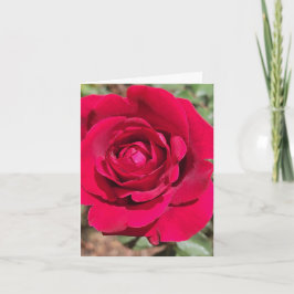 Red Rose gepersonaliseerd Wenskaart Kaart